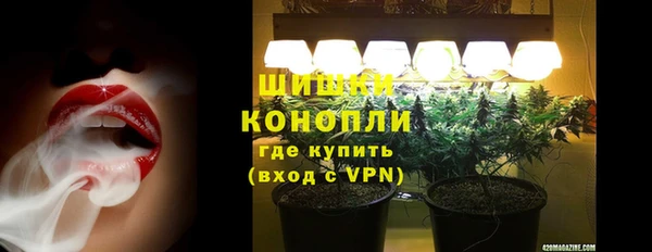 PSILOCYBIN Нязепетровск