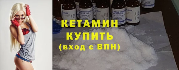 дживик Няндома