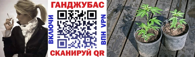ссылка на мегу Окуловка Каннабис SATIVA & INDICA